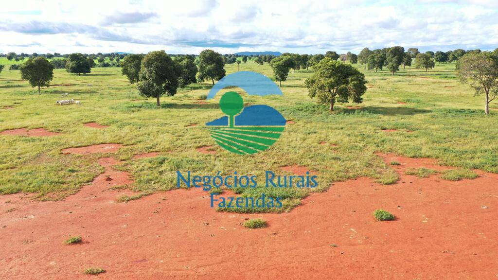 Fazenda de 1.180 ha em Araguapaz, GO