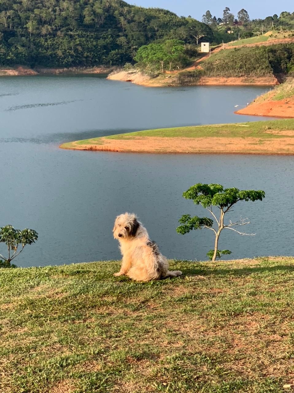 Sítio de 34 ha em Santa Branca, SP