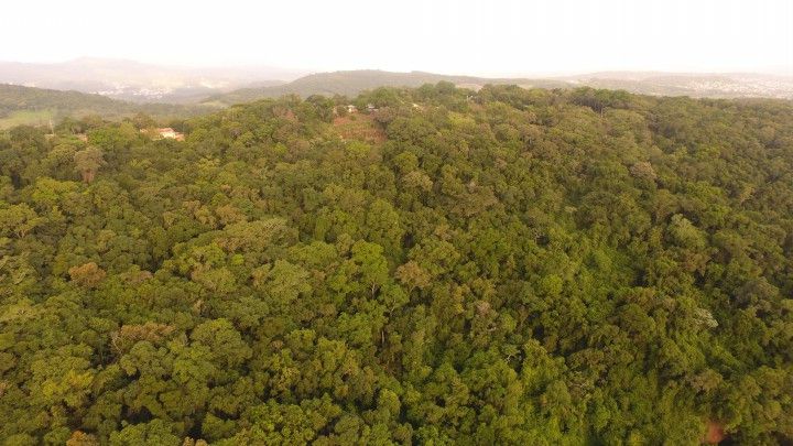 Chácara de 1 ha em Nova Hartz, RS