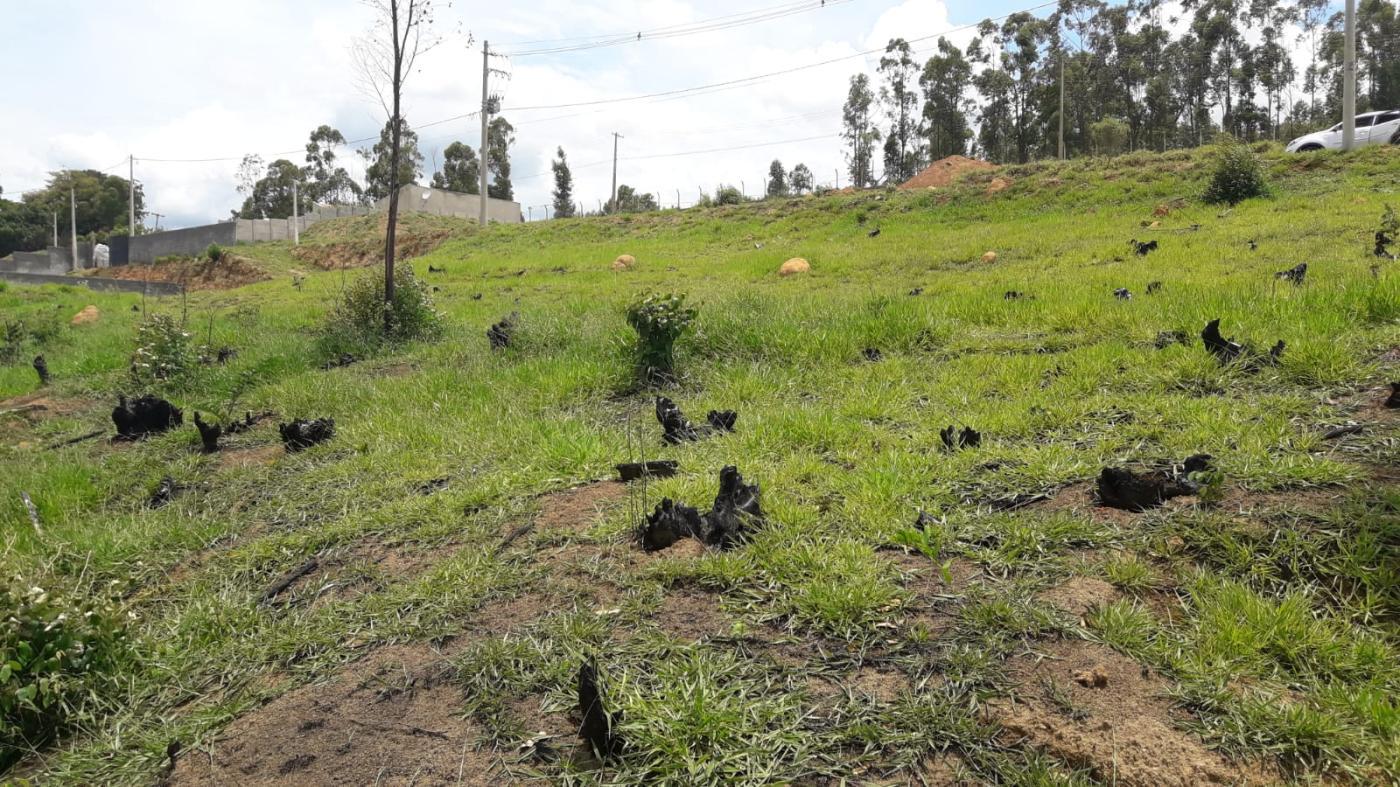 Terreno de 1.000 m² em Alumínio, SP