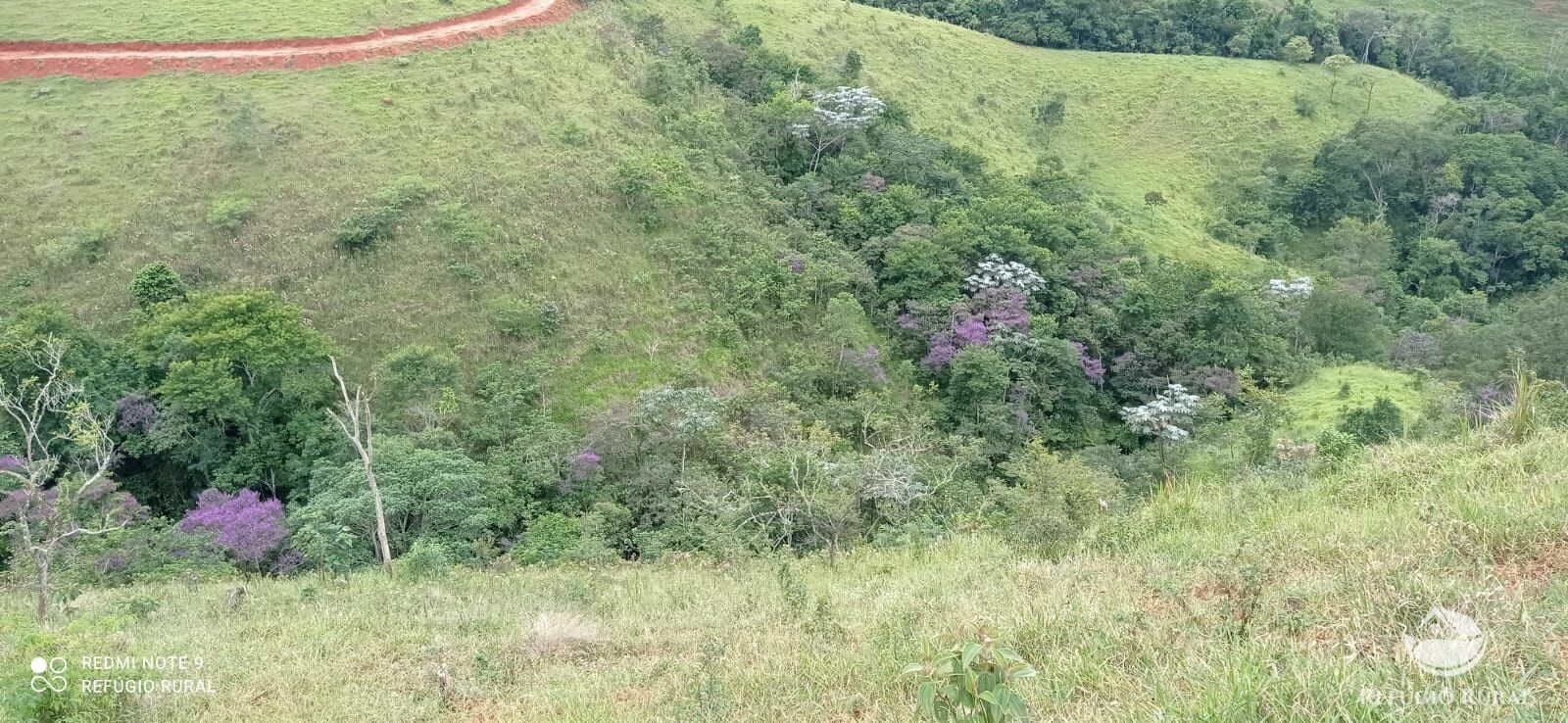 Sítio de 53 ha em Monteiro Lobato, SP