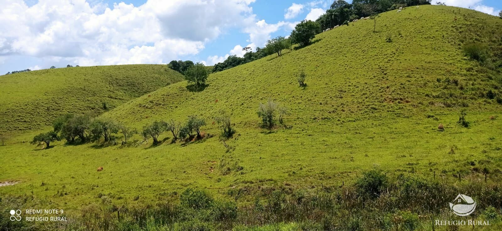 Sítio de 12 ha em São Luiz do Paraitinga, SP