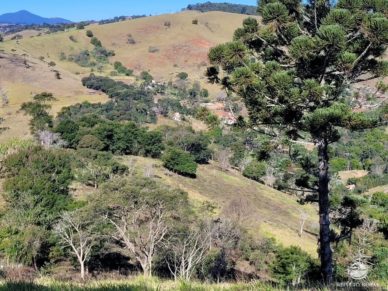 Terreno de 2 ha em Santo Antônio do Pinhal, SP