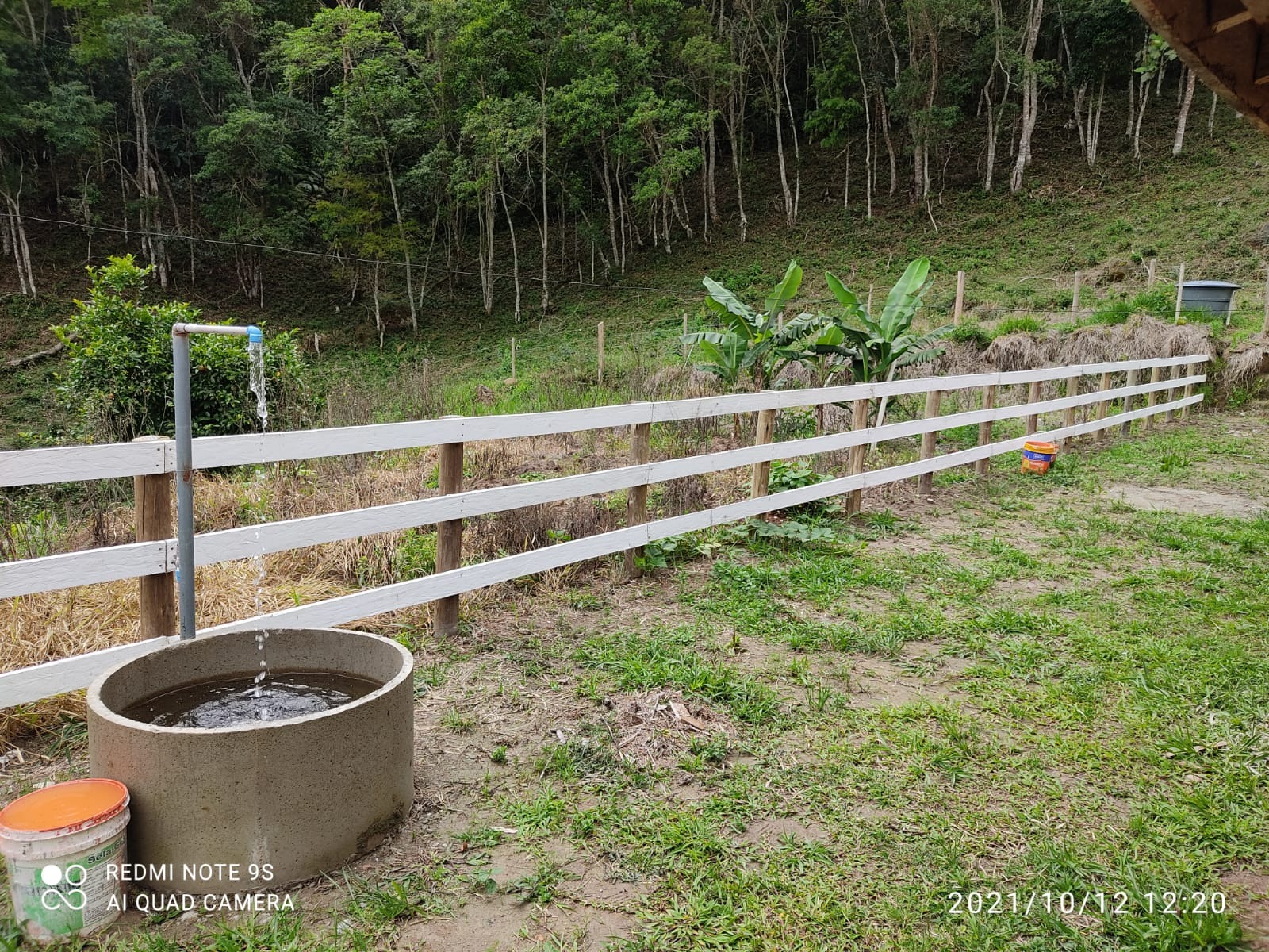 Sítio de 31 ha em Natividade da Serra, SP