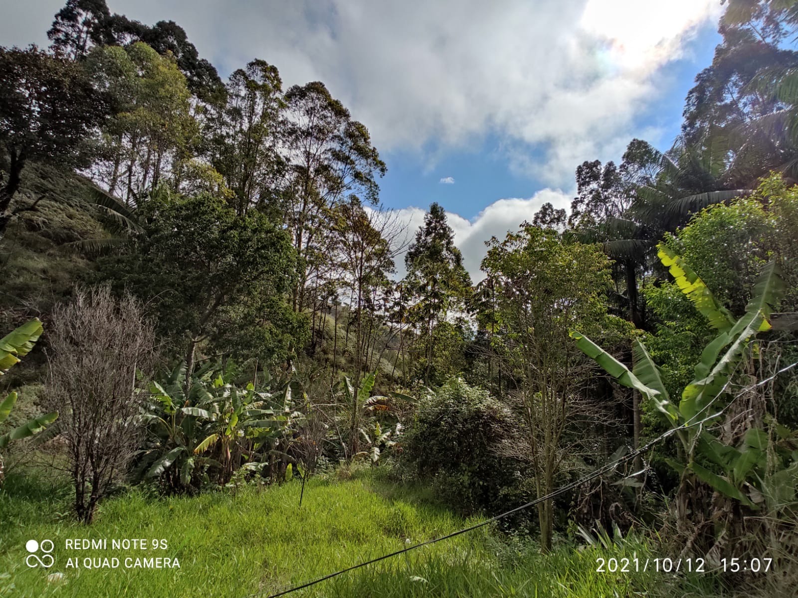 Sítio de 31 ha em Natividade da Serra, SP