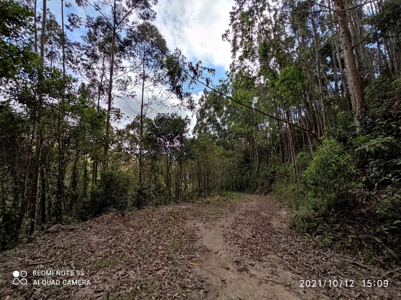 Sítio de 31 ha em Natividade da Serra, SP