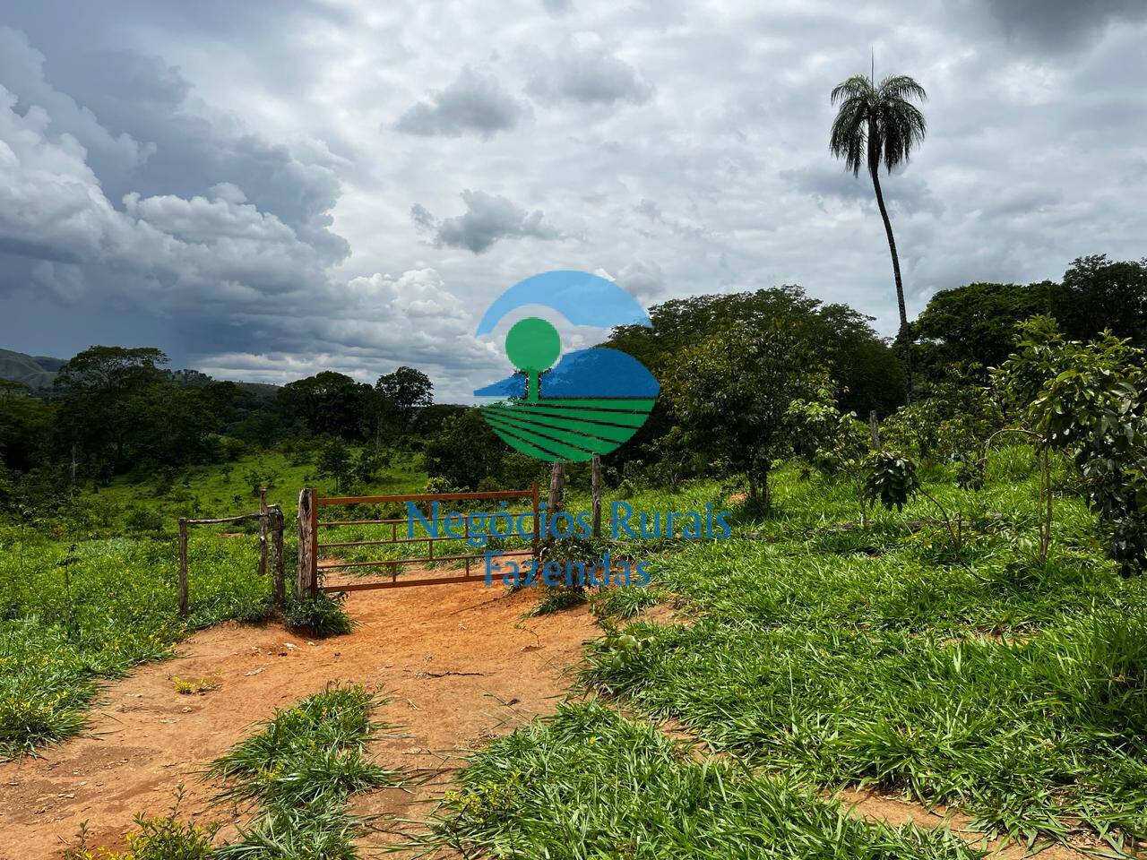 Fazenda de 667 ha em Padre Bernardo, GO