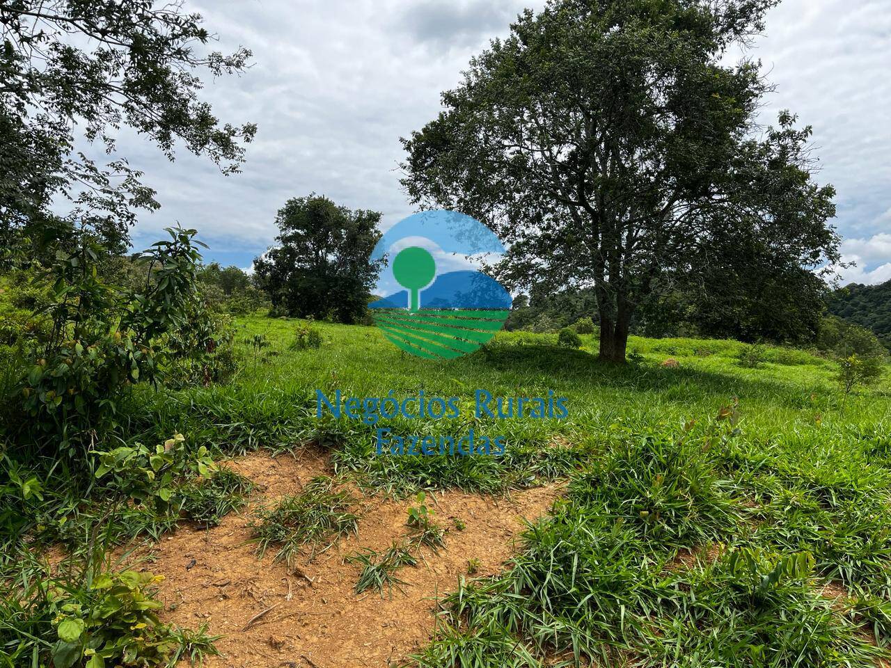 Fazenda de 667 ha em Padre Bernardo, GO