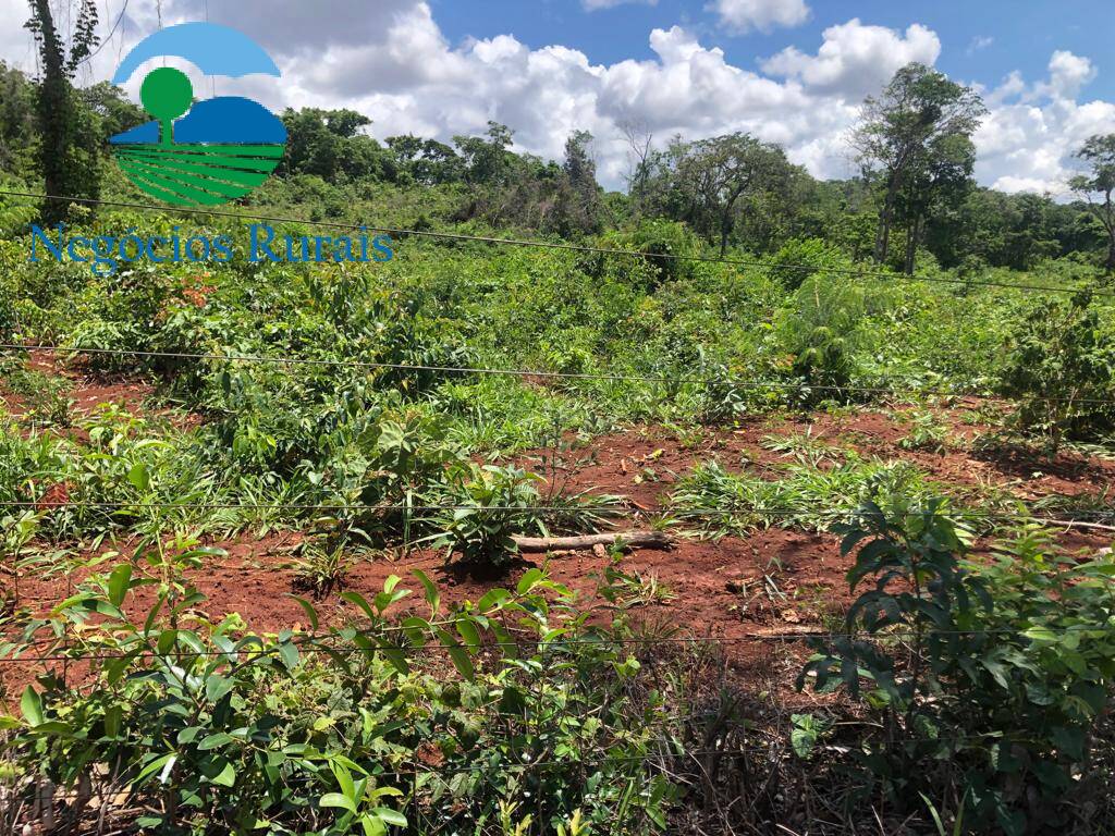 Fazenda de 614 ha em Niquelândia, GO