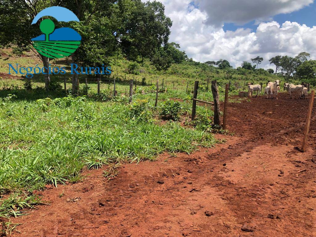 Fazenda de 614 ha em Niquelândia, GO