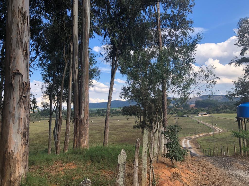 Sítio de 1.650 m² em Pouso Alegre, MG