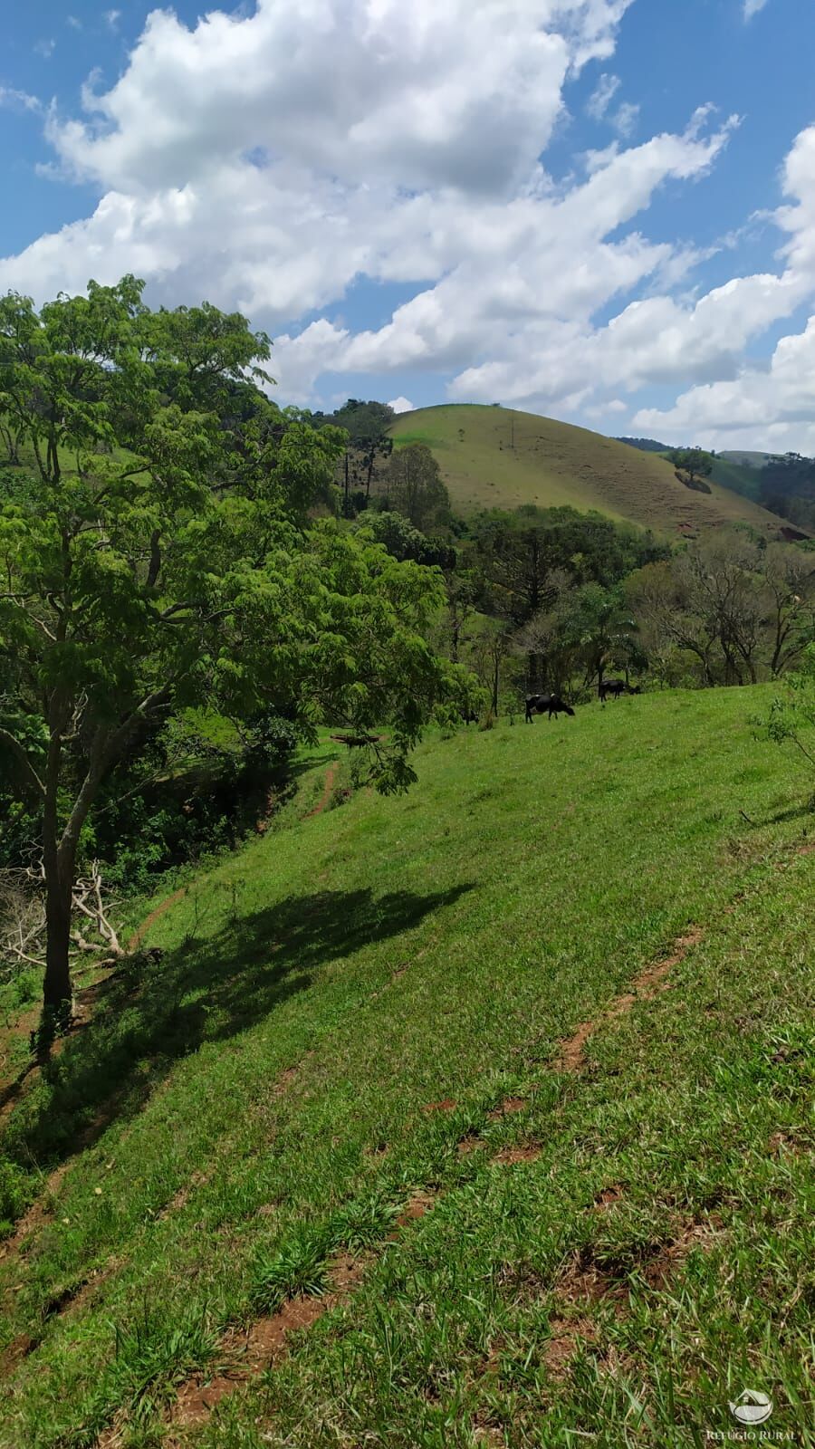 Sítio de 14 ha em Paraisópolis, MG