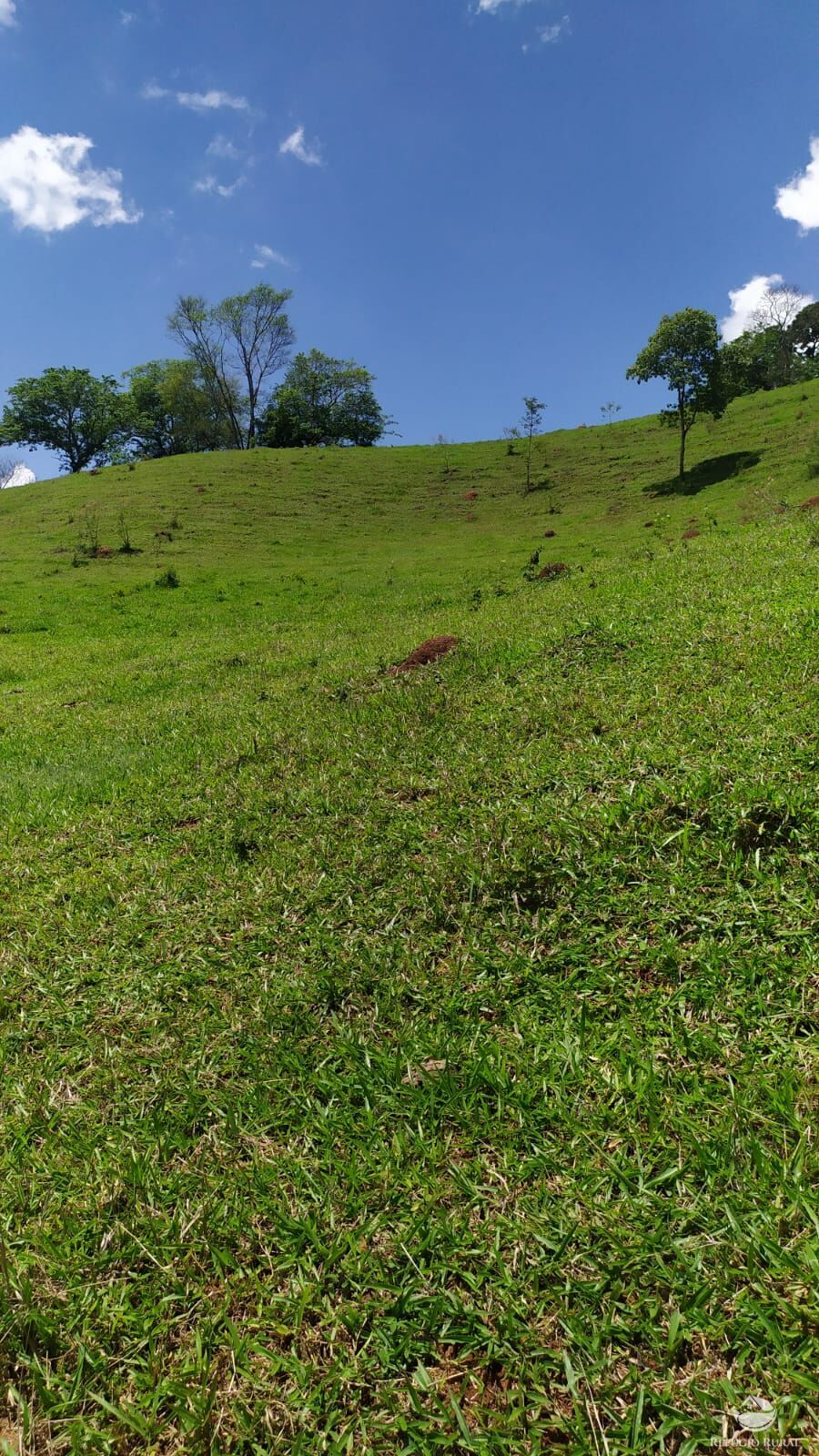 Sítio de 14 ha em Paraisópolis, MG