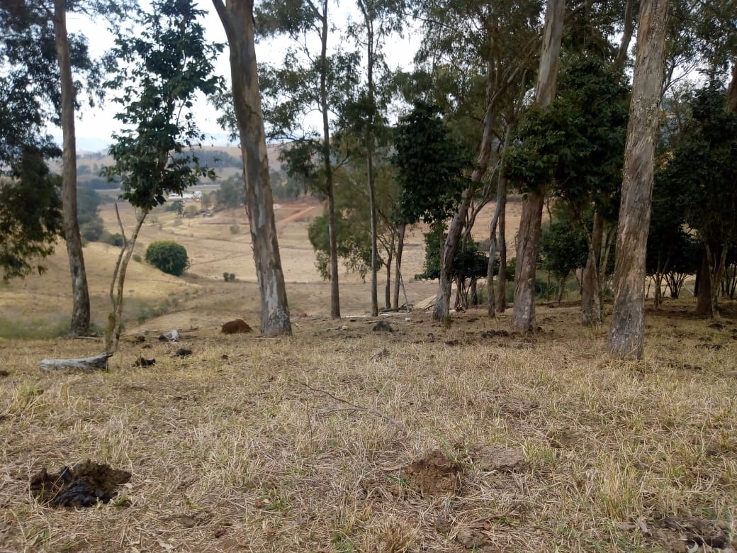 Fazenda de 53 ha em Cambuí, MG