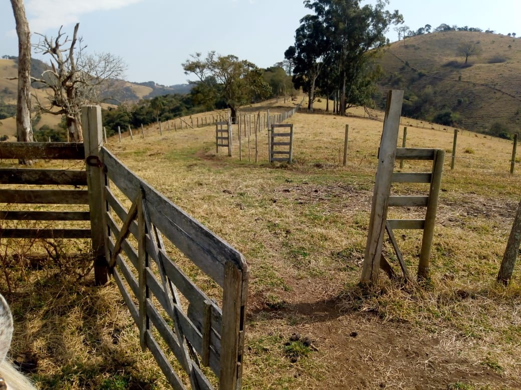 Fazenda de 53 ha em Cambuí, MG