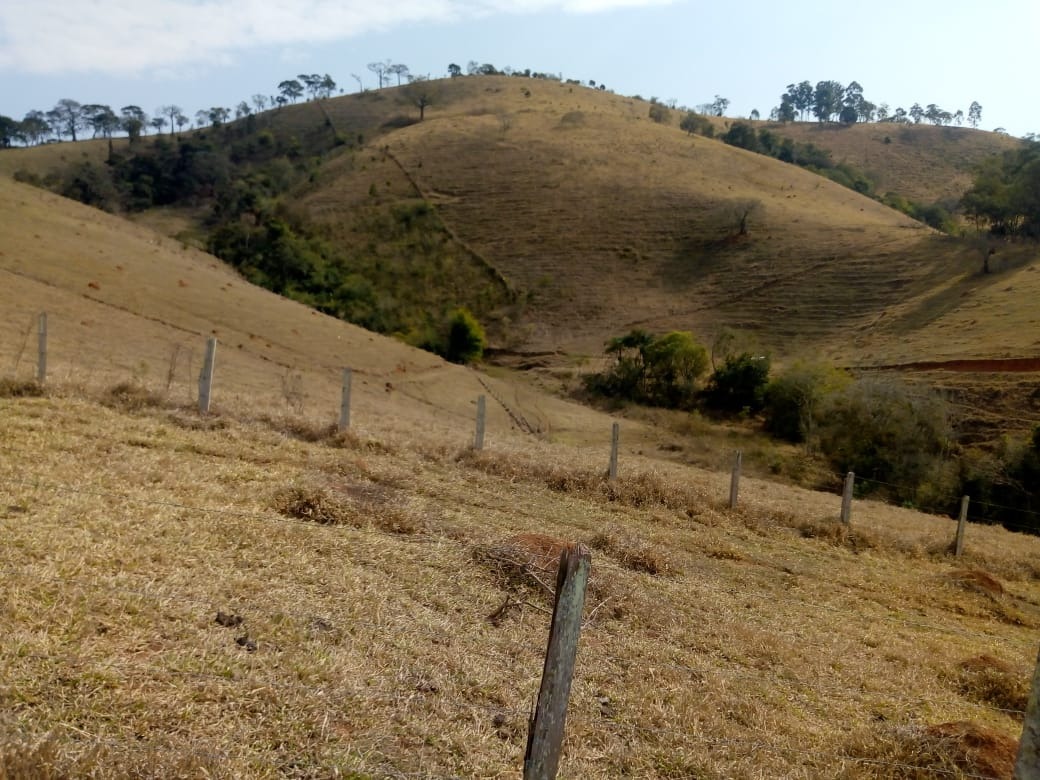 Fazenda de 53 ha em Cambuí, MG