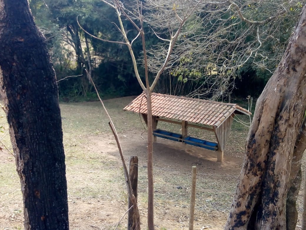 Fazenda de 53 ha em Cambuí, MG