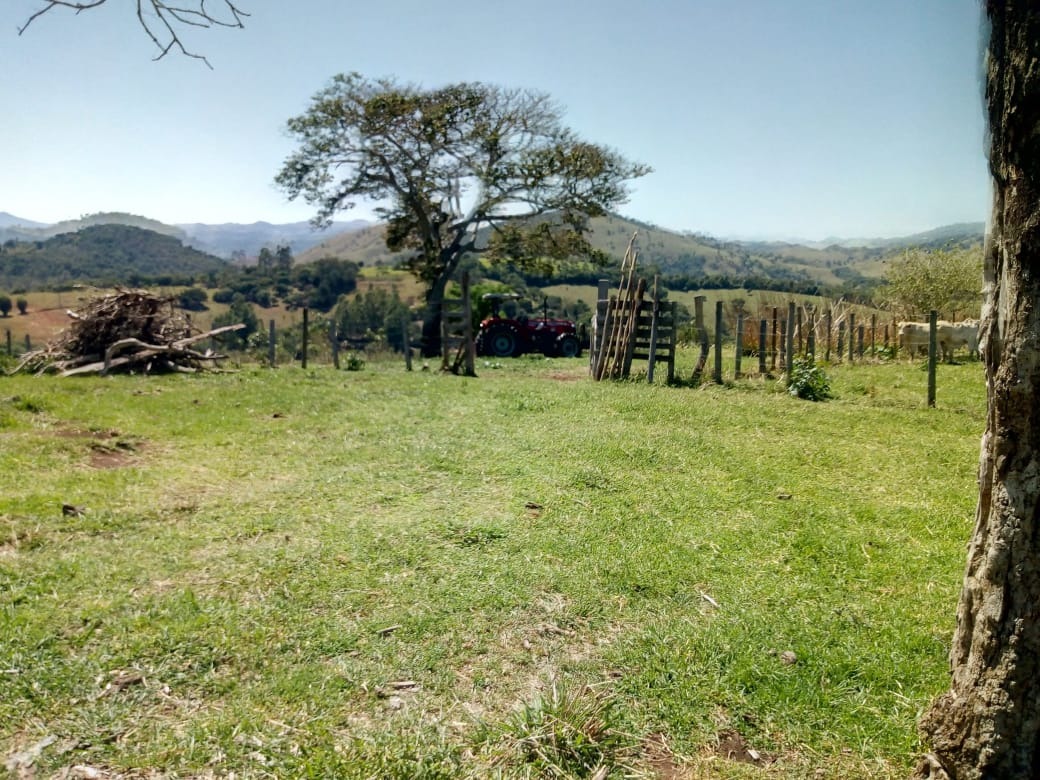 Fazenda de 53 ha em Cambuí, MG