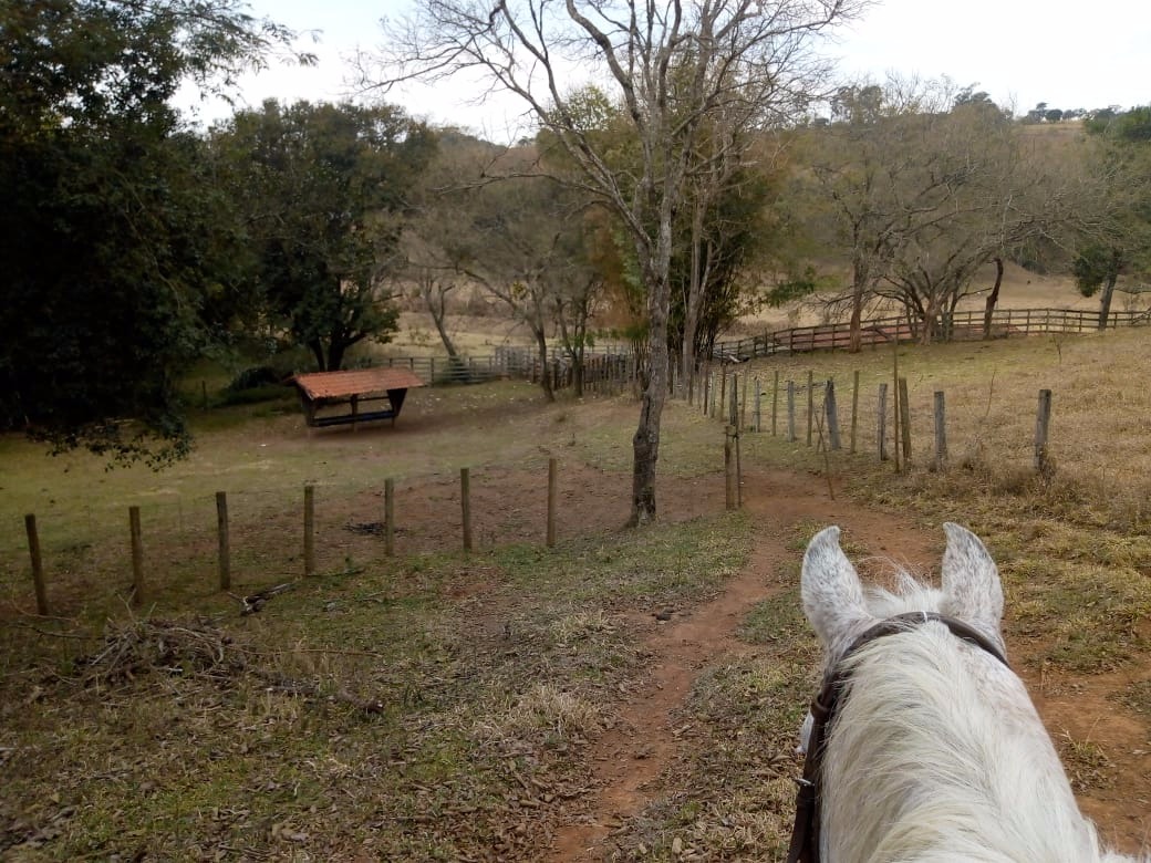 Fazenda de 53 ha em Cambuí, MG