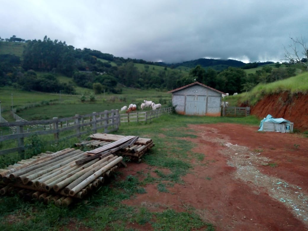 Fazenda de 53 ha em Cambuí, MG