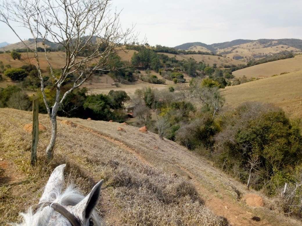 Fazenda de 53 ha em Cambuí, MG