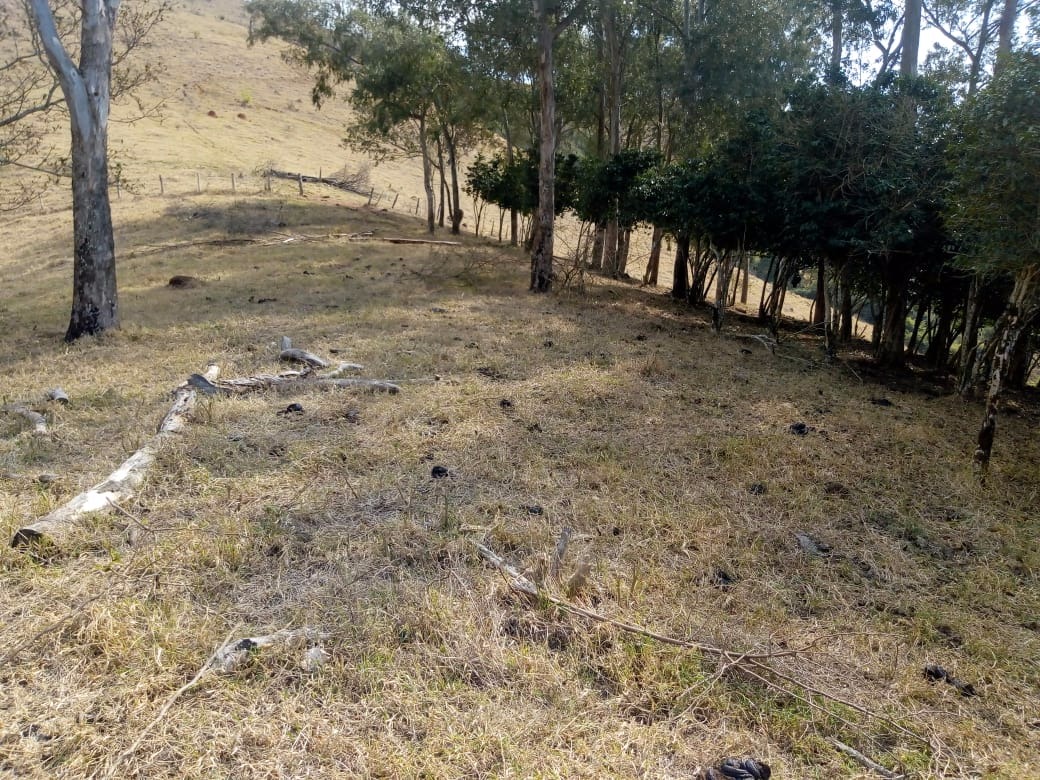 Fazenda de 53 ha em Cambuí, MG