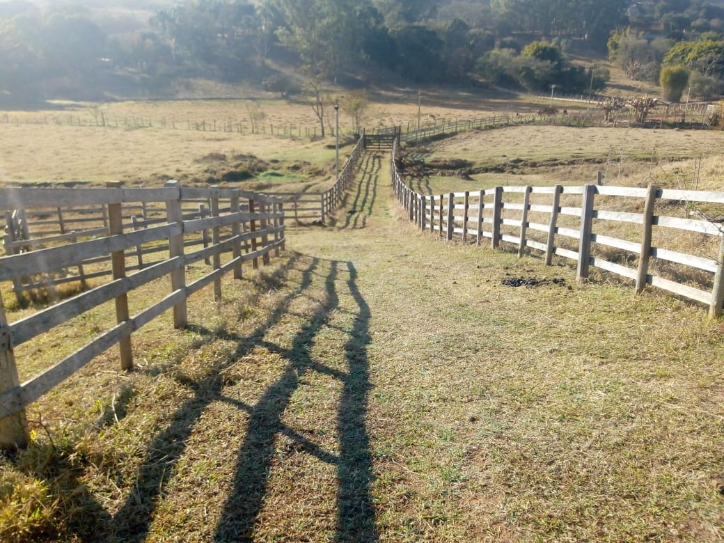 Fazenda de 53 ha em Cambuí, MG