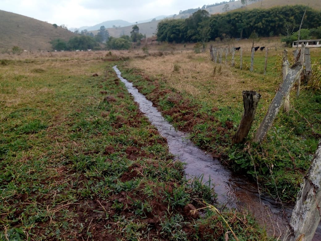 Fazenda de 53 ha em Cambuí, MG