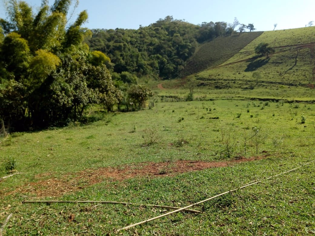 Fazenda de 53 ha em Cambuí, MG