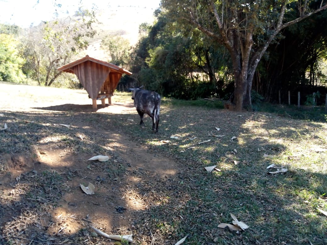 Fazenda de 53 ha em Cambuí, MG