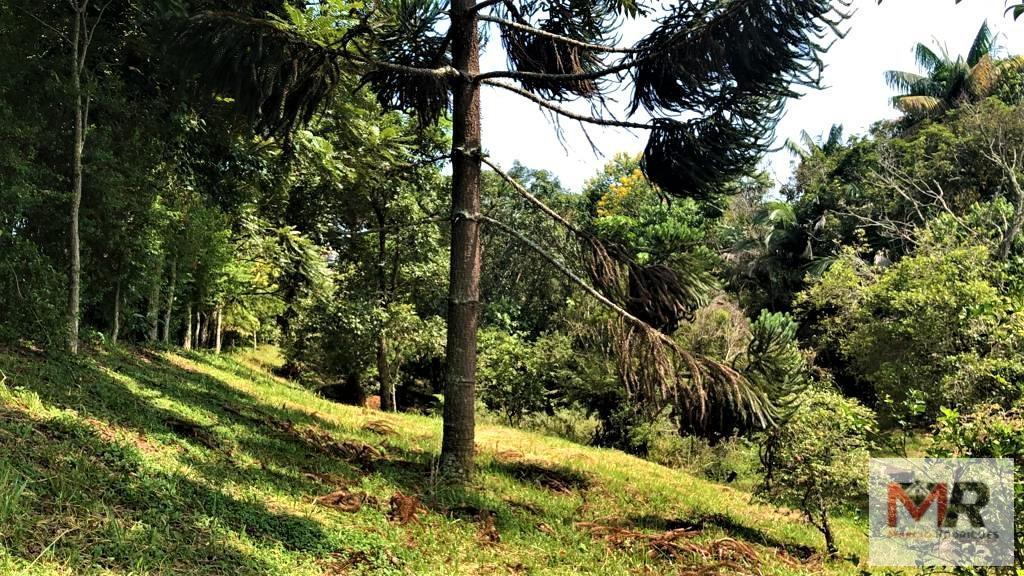 Sítio de 8.000 m² em Pouso Alegre, MG