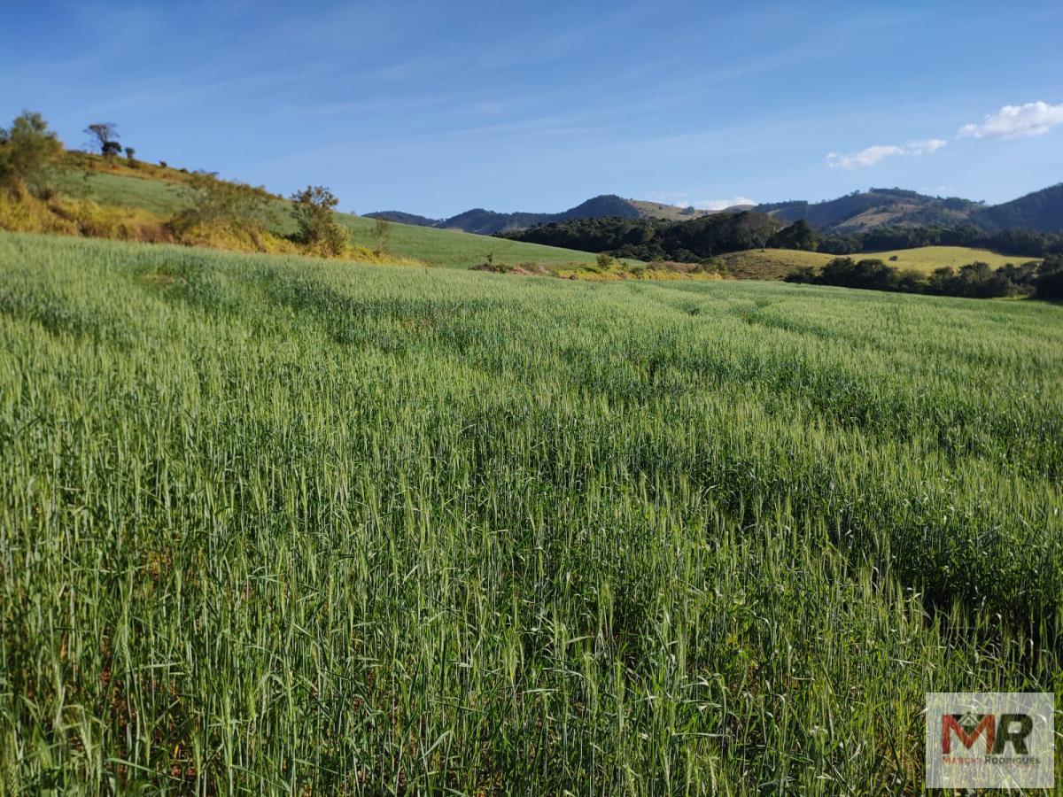 Terreno de 24 ha em Silvianópolis, MG