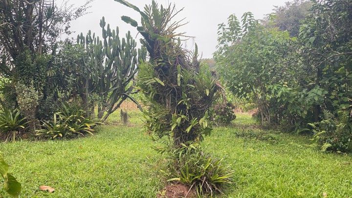 Fazenda de 81 ha em Maquiné, RS