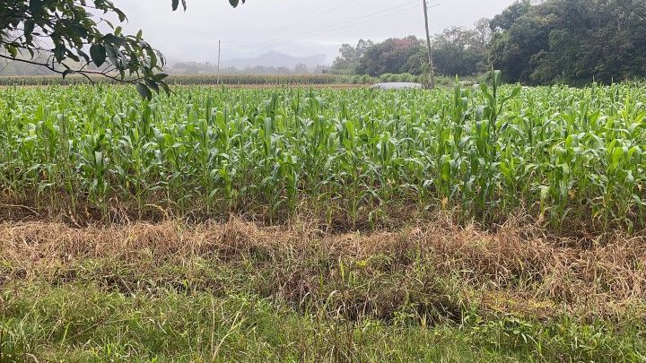 Fazenda de 81 ha em Maquiné, RS