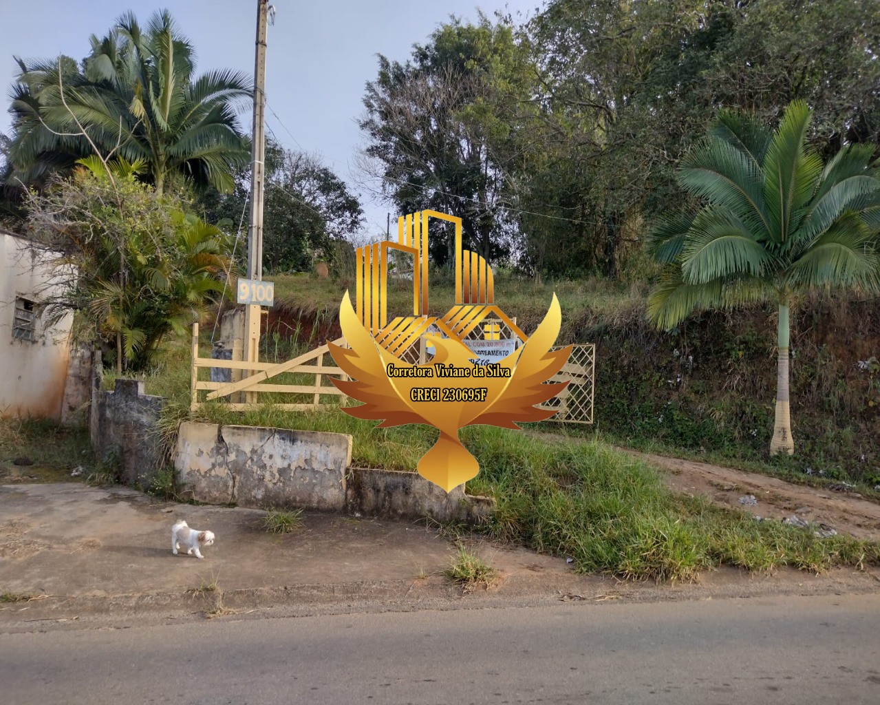 Terreno de 2 ha em Taubaté, SP