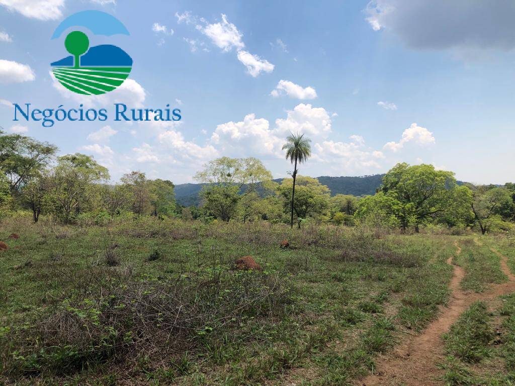 Fazenda de 396 ha em Uruaçu, GO