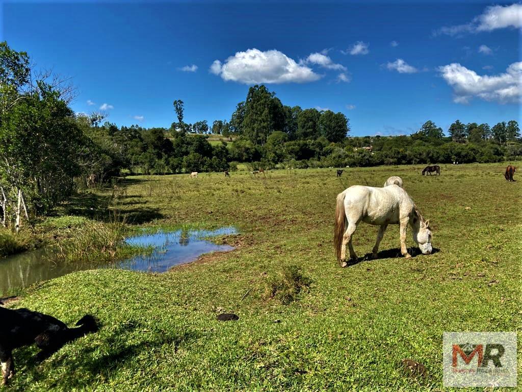 Sítio de 24 ha em Pouso Alegre, MG