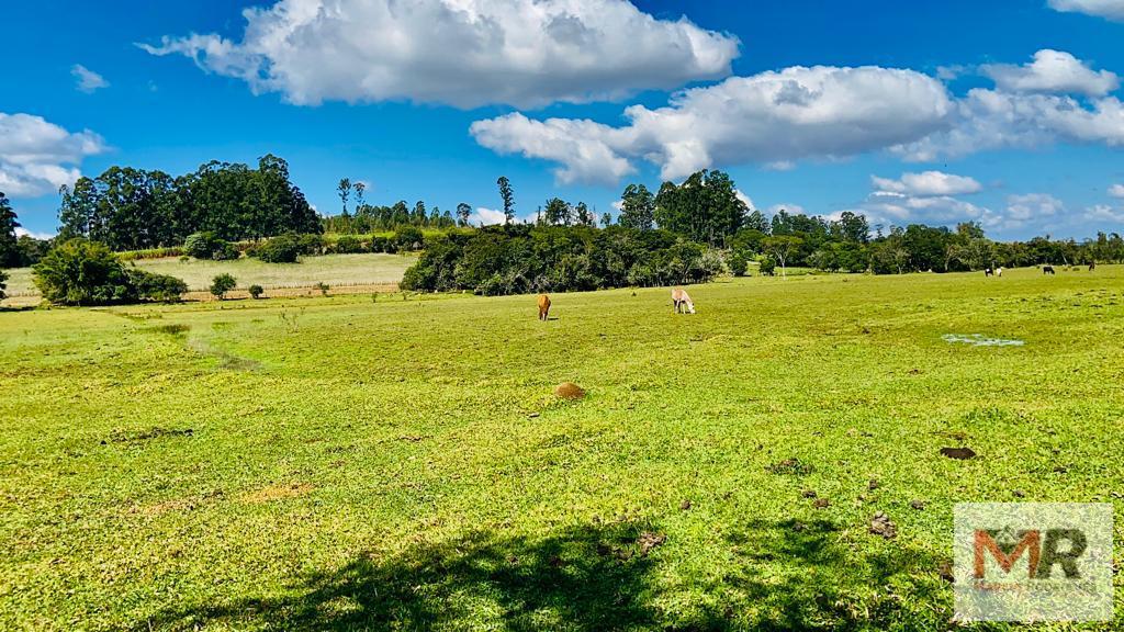 Sítio de 24 ha em Pouso Alegre, MG