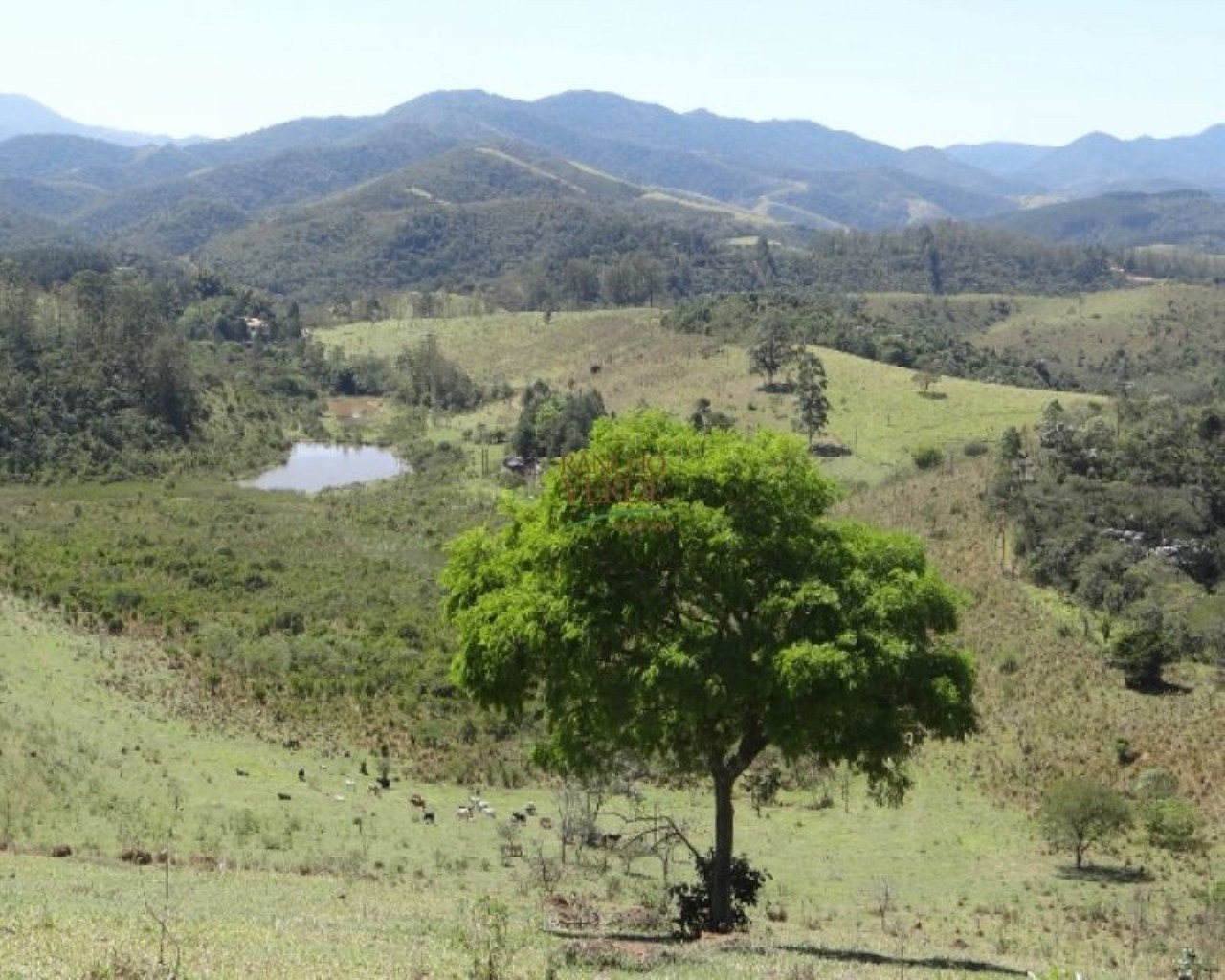 Fazenda de 73 ha em Monteiro Lobato, SP