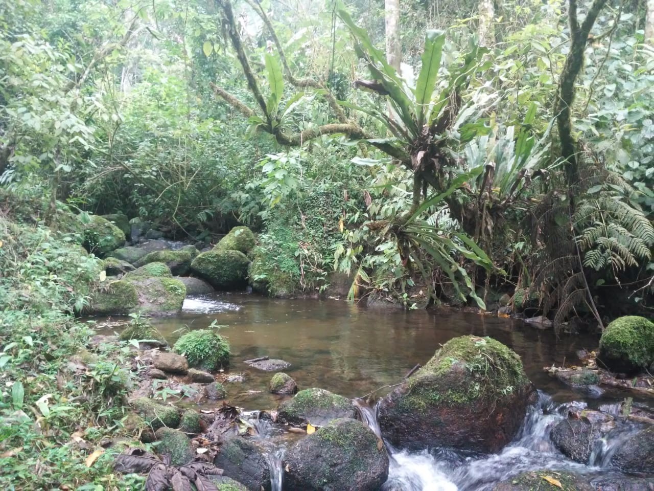 Terreno de 30 ha em Monteiro Lobato, SP