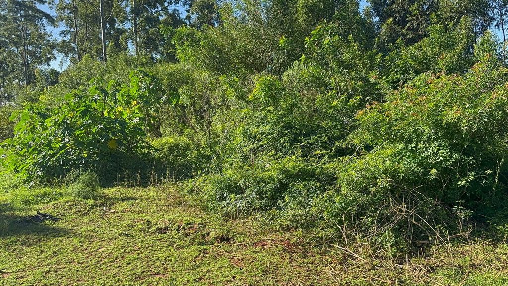 Chácara de 3.400 m² em Eldorado do Sul, RS