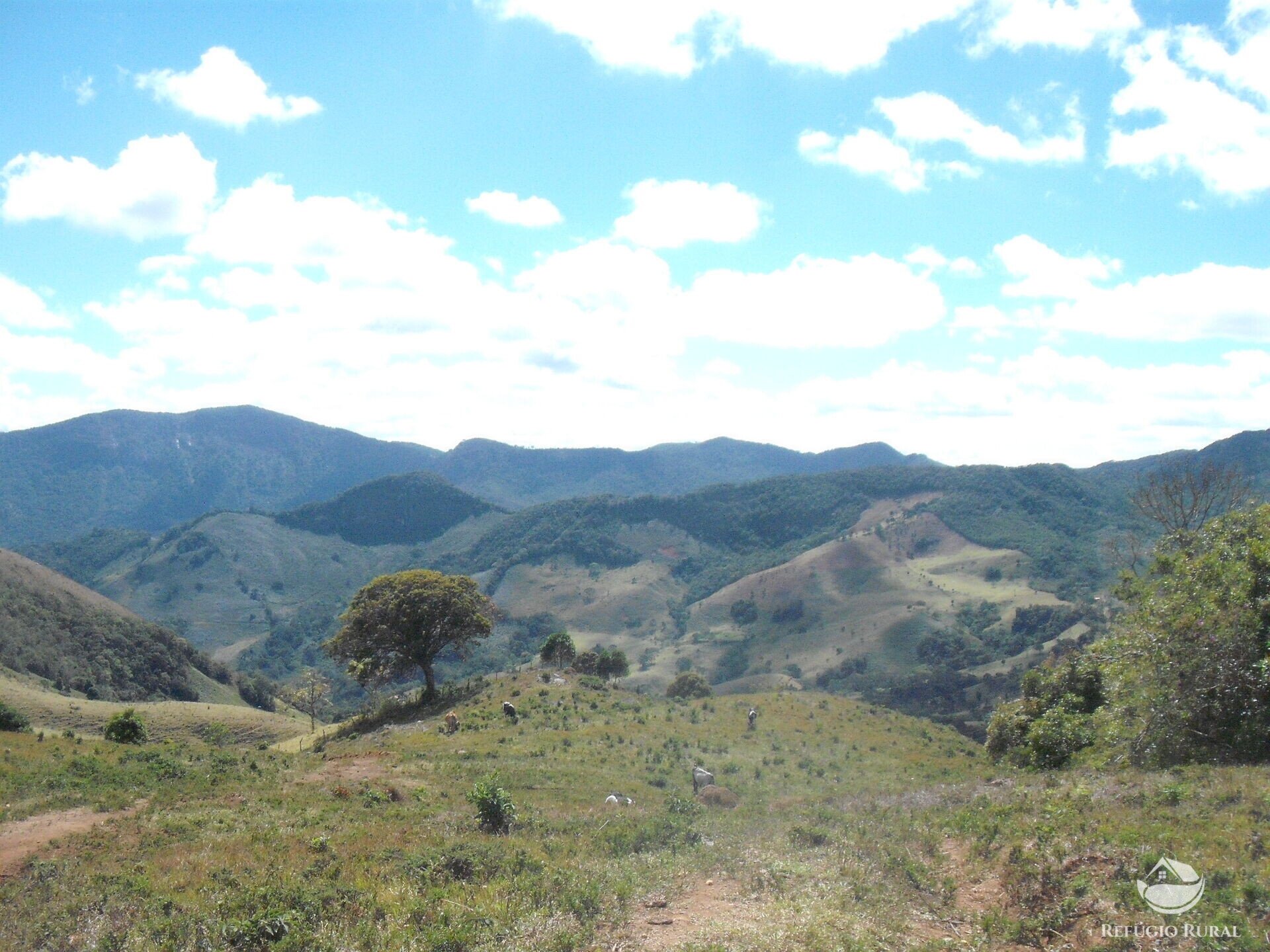 Sítio de 25 ha em Aiuruoca, MG