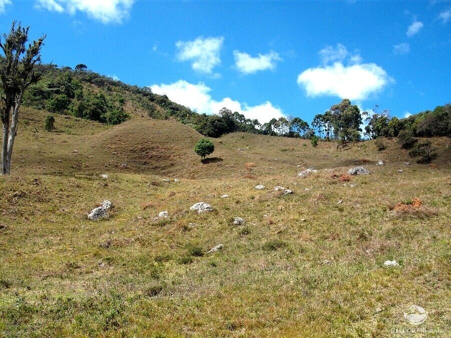 Sítio de 25 ha em Aiuruoca, MG