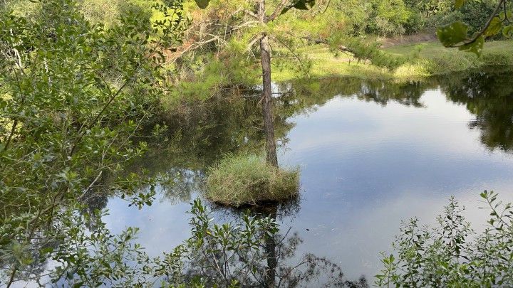 Chácara de 4.400 m² em Glorinha, RS