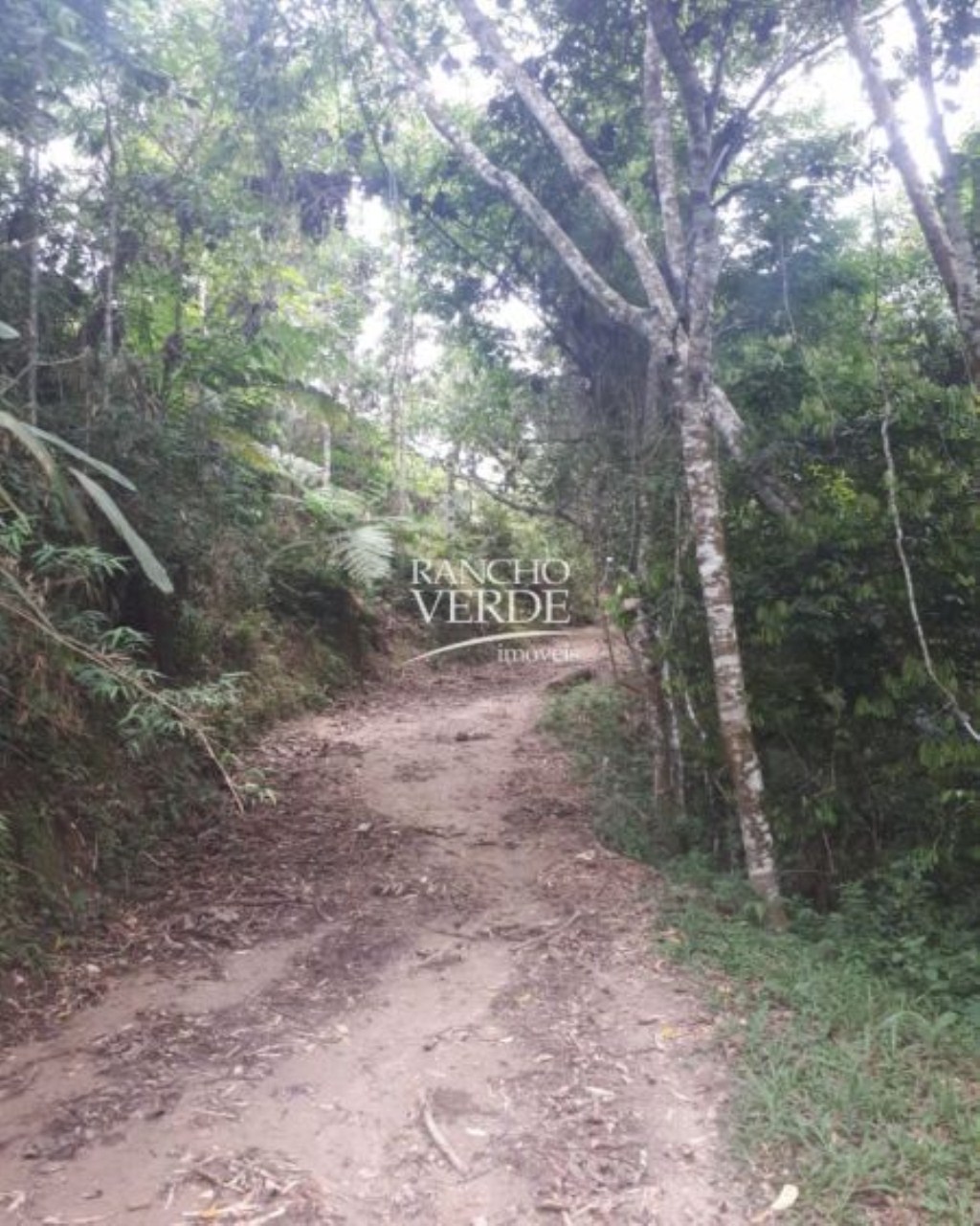 Terreno de 28 ha em Natividade da Serra, SP