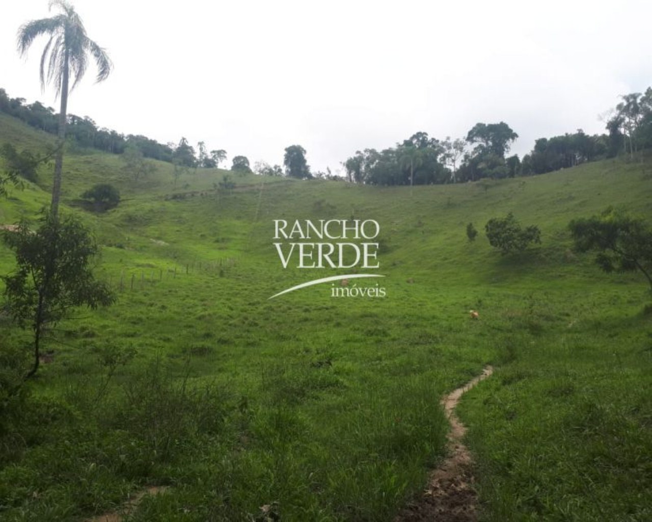 Terreno de 28 ha em Natividade da Serra, SP