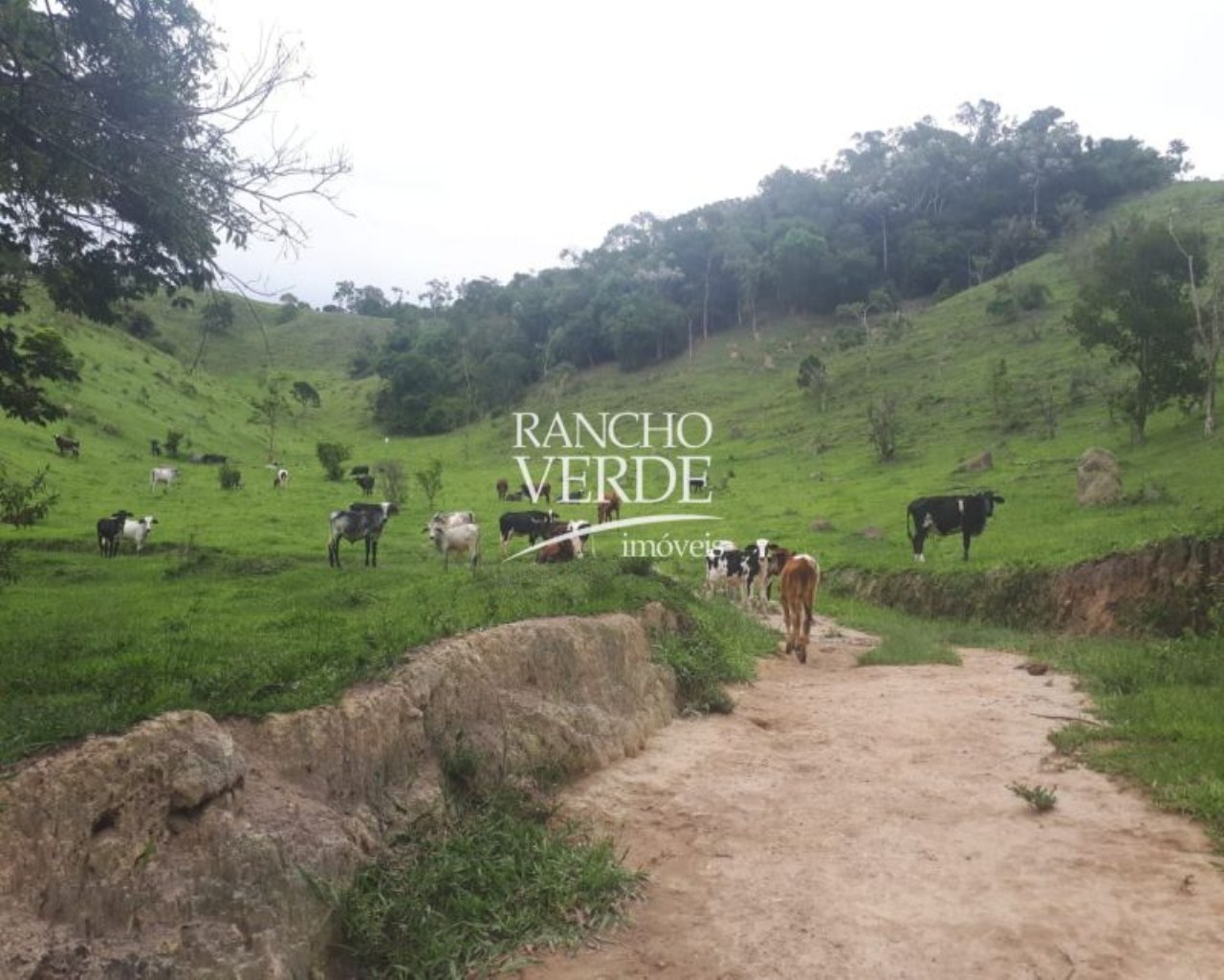 Terreno de 28 ha em Natividade da Serra, SP