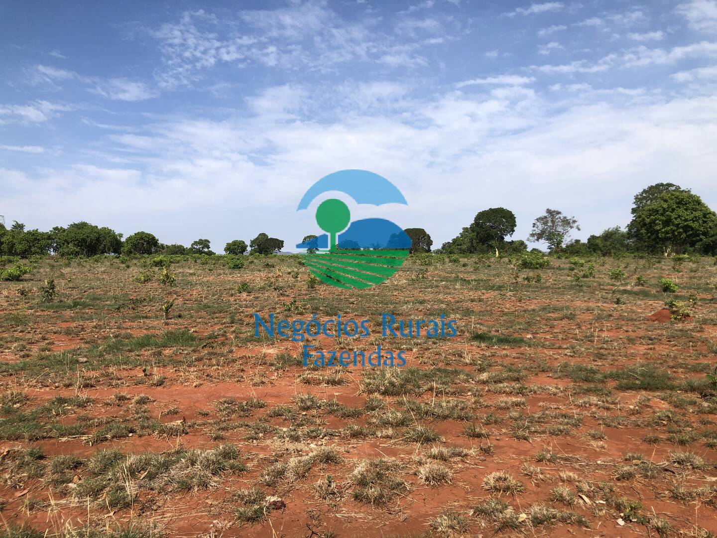 Fazenda de 1.258 ha em Palmeirópolis, TO