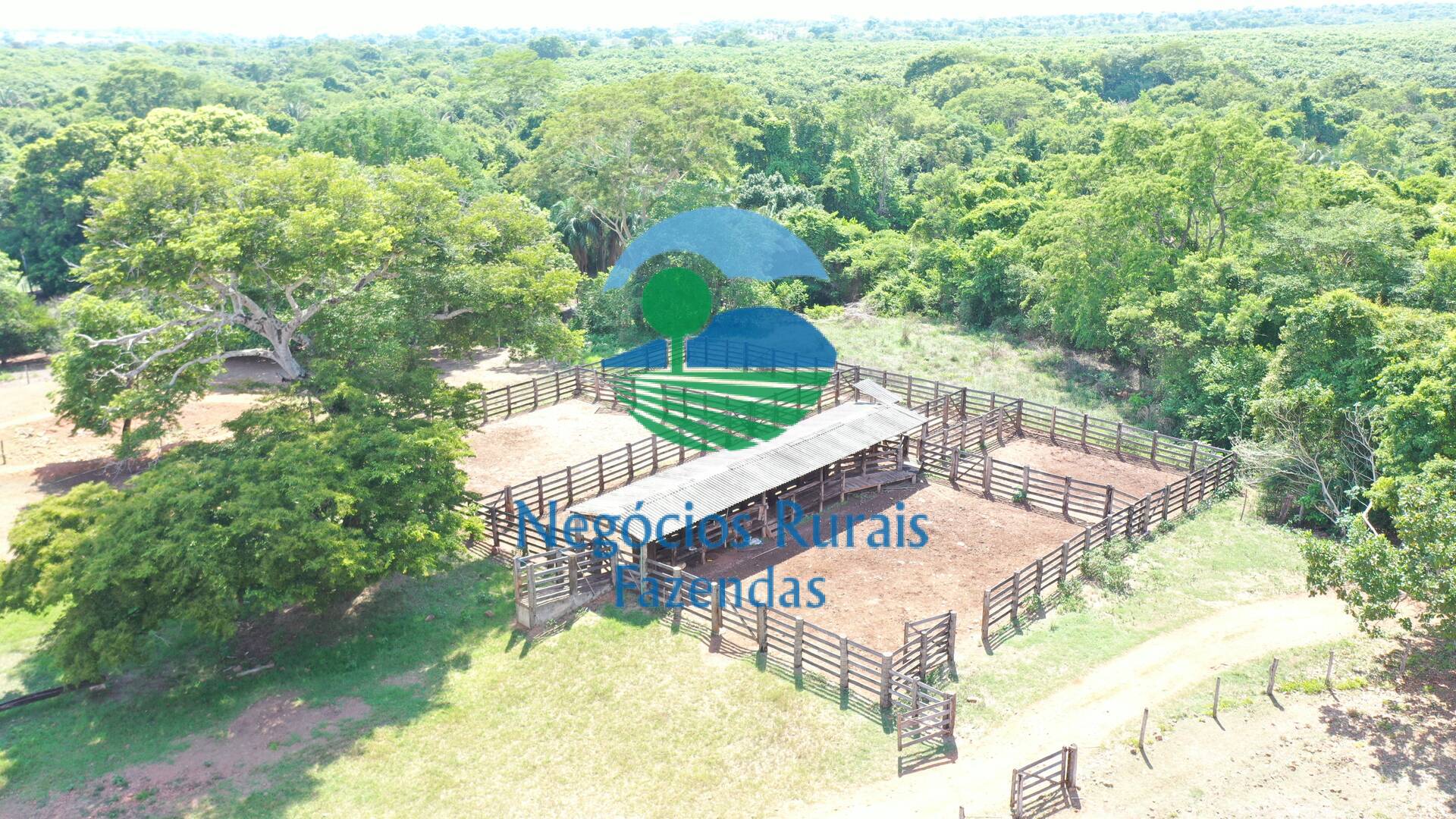 Fazenda de 1.258 ha em Palmeirópolis, TO