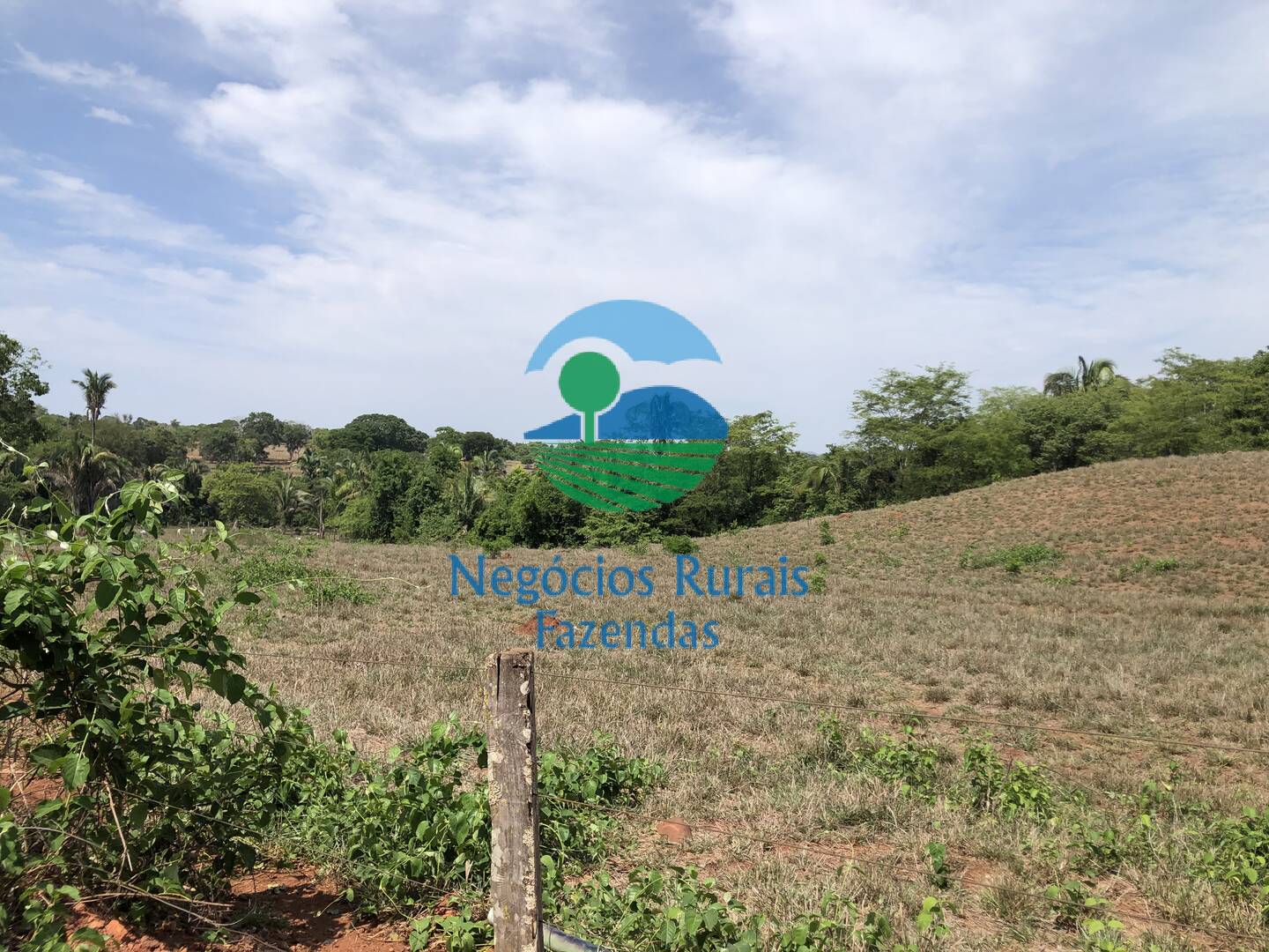 Fazenda de 1.258 ha em Palmeirópolis, TO